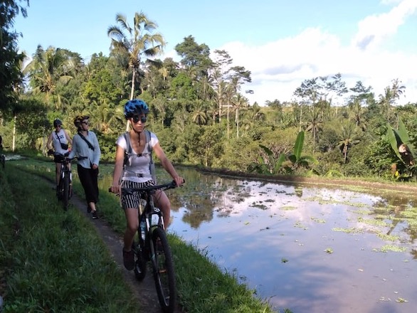 Cycling small path ricefields