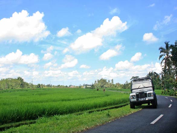 Landrover tour ricefields Bali