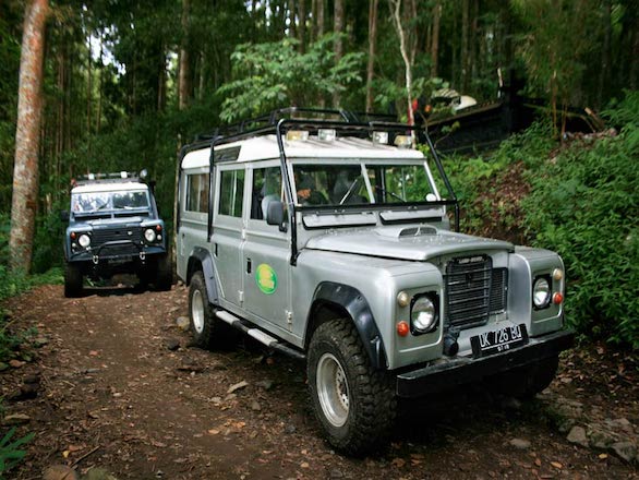 Two lsndrover exit the jungle