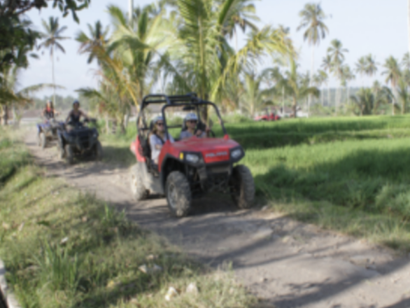 ATV tour